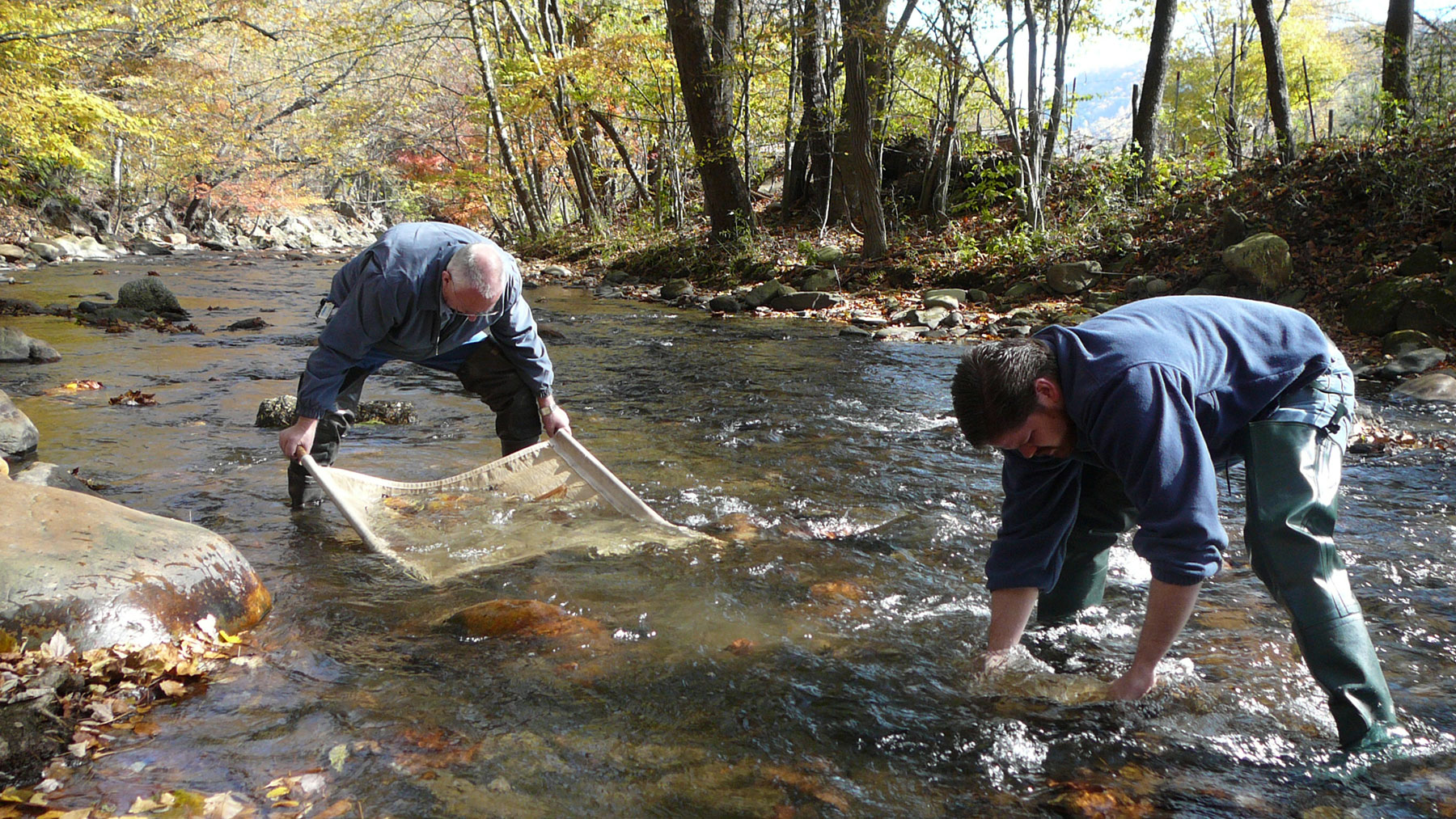 Aquatic Workshop – July 18th @ Lake Logan