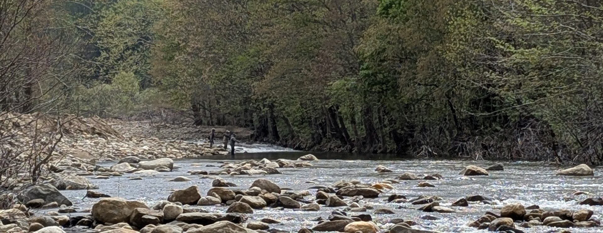 3rd Annual Fishing Tournament